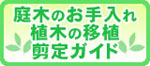 お庭のお手入れ　植木の移植　剪定ガイド